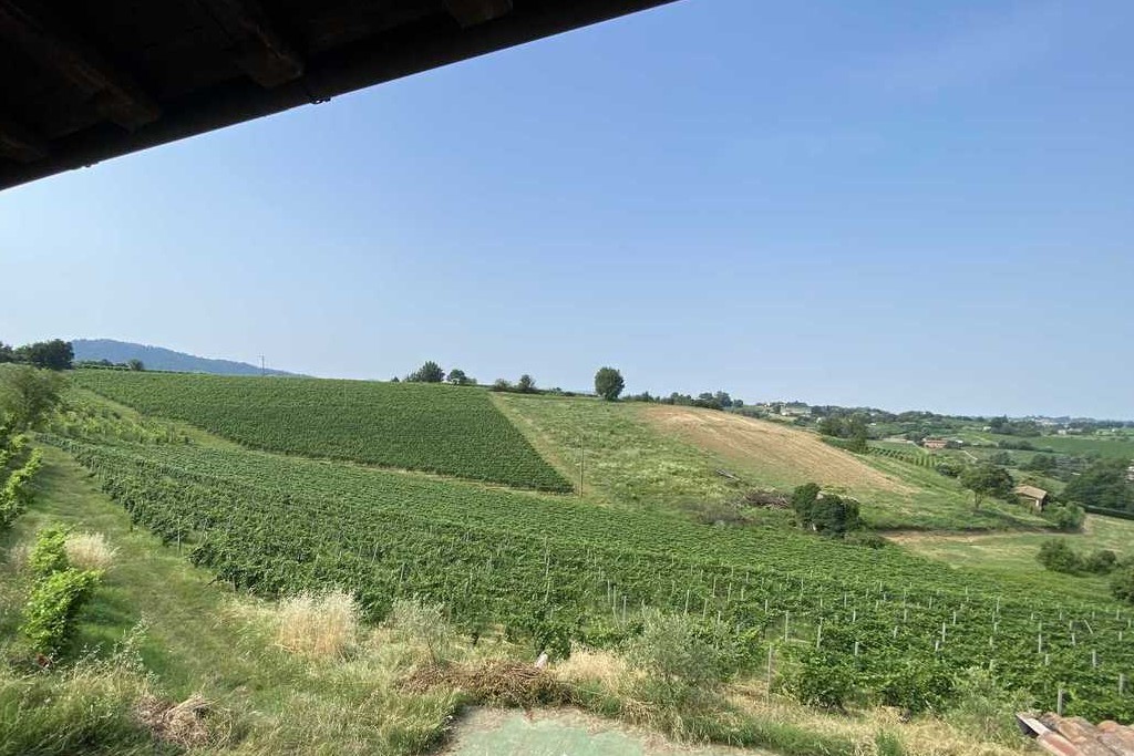 VignaPN+Cab-1024x683