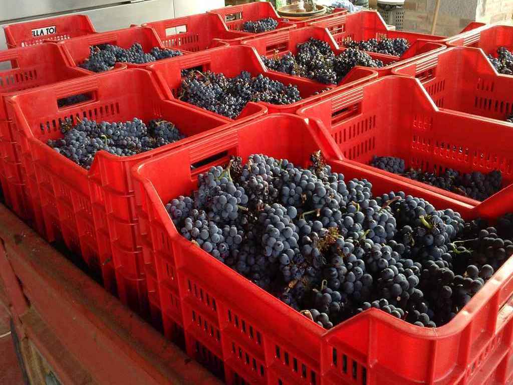 Tradizione e innovazione